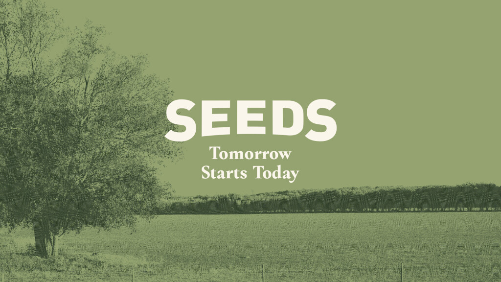 SEEDS